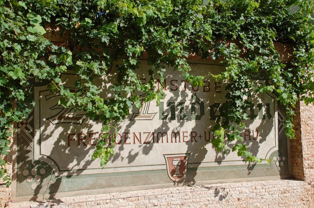 Zur Lindenau Ξενοδοχείο Rüdesheim am Rhein Εξωτερικό φωτογραφία